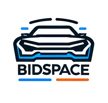 Bidspace.info logo